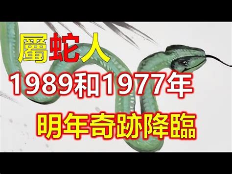 1989五行|1989年属蛇的是什么命，89年出生的蛇五行属什么